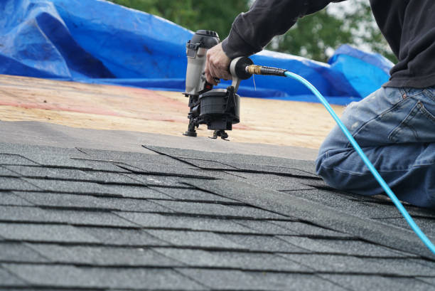 Gutter Installation and Roofing in Cowarts, AL